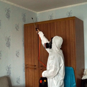 Борьба с клопами в домашних условиях – Ростов-на-Дону