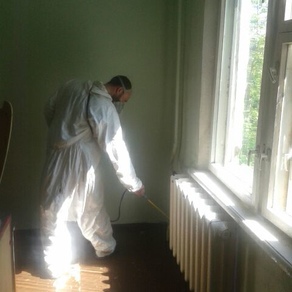 Уничтожить тараканов в квартире в Ростове-на-Дону
