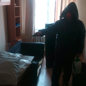 Уничтожение тараканов в квартире с гарантией в Ростове-на-Дону