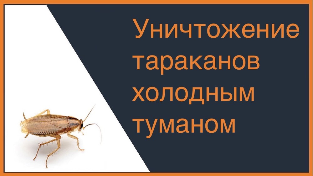 Уничтожение тараканов холодным туманом в Ростове-на-Дону