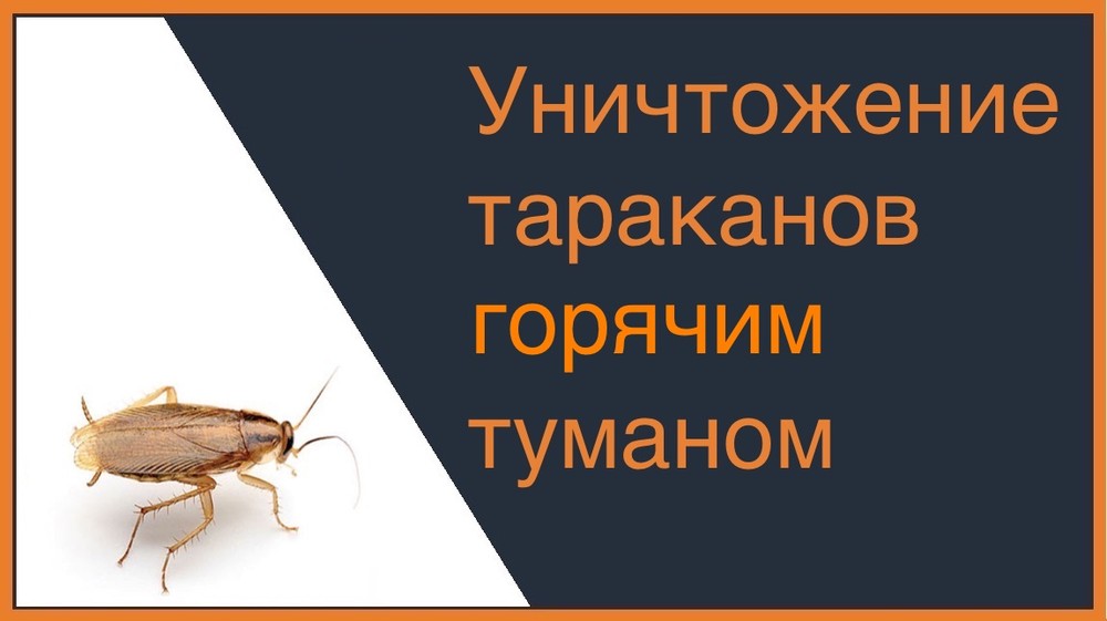 Уничтожение тараканов горячим туманом в Ростове-на-Дону